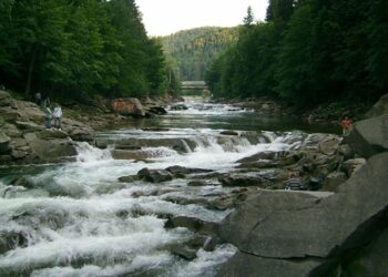 В Україні пересихають річки: де зафіксували критичне падіння водності