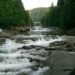 В Україні пересихають річки: де зафіксували критичне падіння водності 7 В Україні пересихають річки: де зафіксували критичне падіння водності