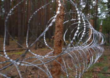 На Сумщині та Чернігівщині активізувалися російські ДРГ: ворог намагається мінувати місцевість