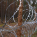 На Сумщині та Чернігівщині активізувалися російські ДРГ: ворог намагається мінувати місцевість 7 На Сумщині та Чернігівщині активізувалися російські ДРГ: ворог намагається мінувати місцевість